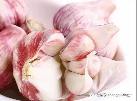 微信圖片_20180615173225.jpg 微信圖片_20180615173225.jpg