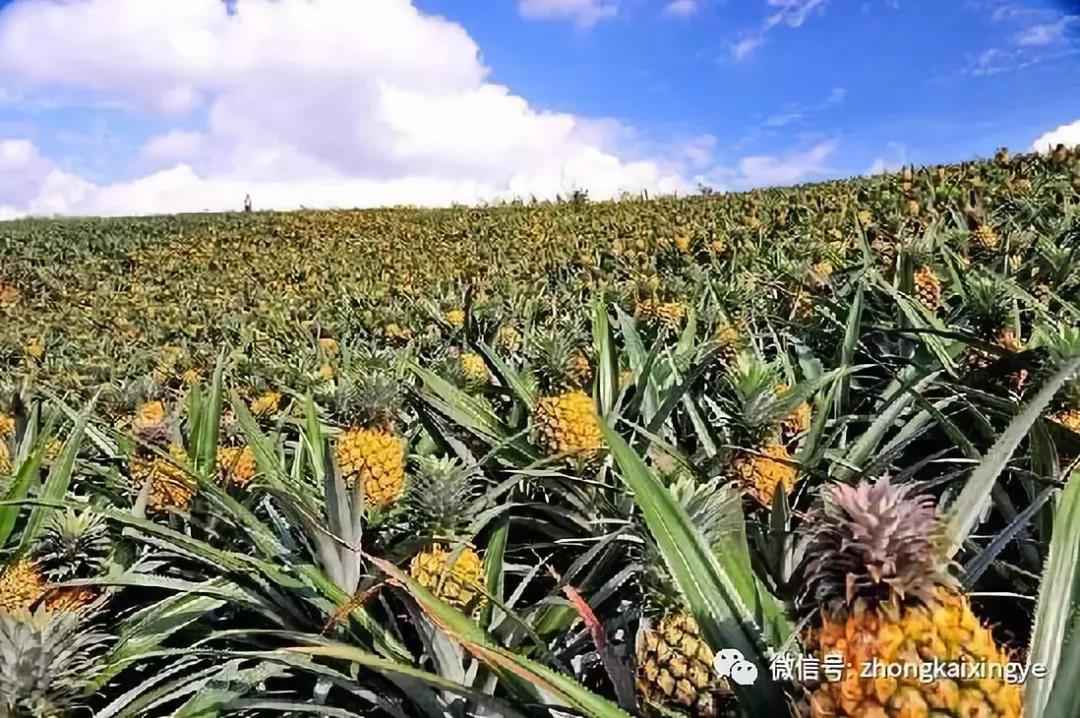 微信圖片_20180615173548.jpg 微信圖片_20180615173548.jpg