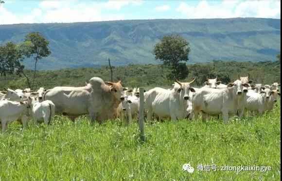 微信圖片_20180615173900.jpg 微信圖片_20180615173900.jpg