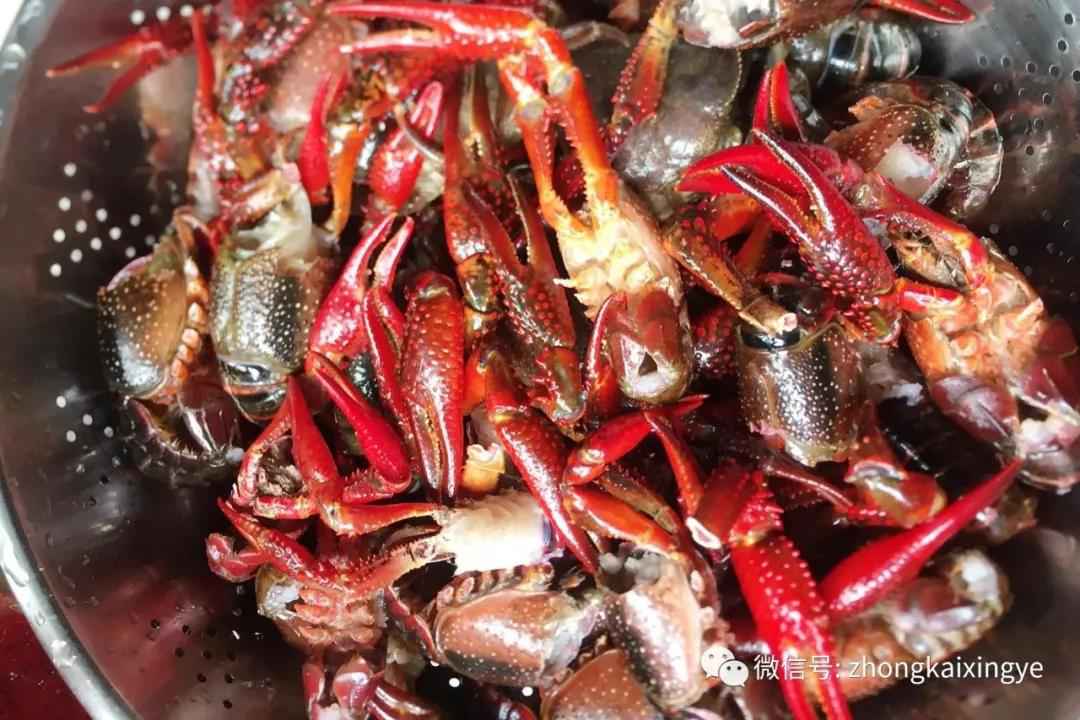 微信圖片_20180622171524.jpg 微信圖片_20180622171524.jpg